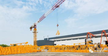 江漢建機鳳凰新區接受市領導檢閱